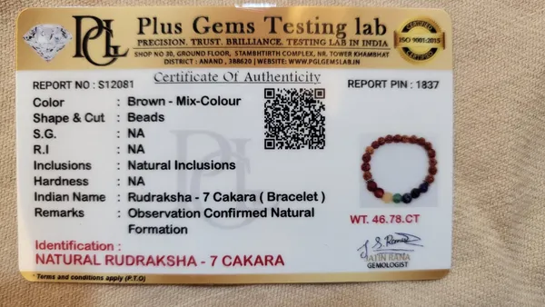 Natural_Rudraksha_7_Chakra_Healing_Bracelet_|_Full_Chakra_Balance_&_Energy_Alignment