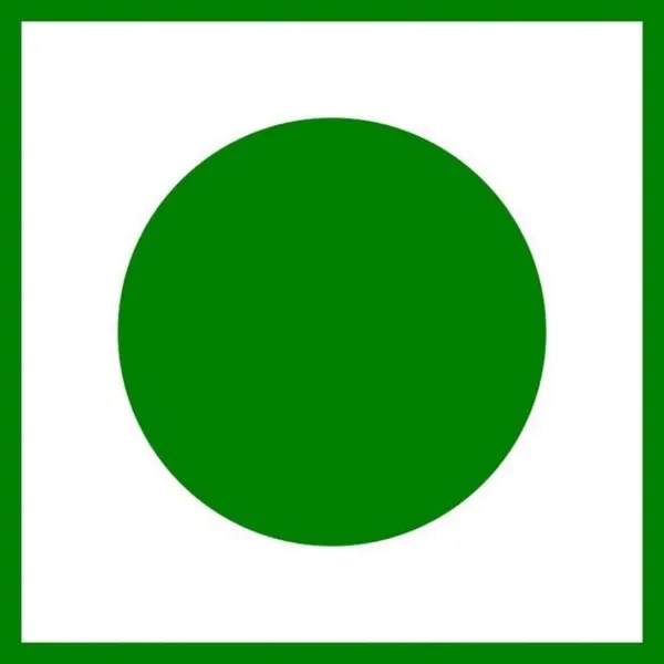 Hunger_Zero_GreenGold_–_Premium_Green_Raisins_(Kishmish)
