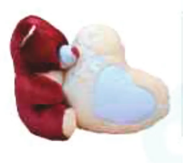 Customised_Teddy_Bear_with_Heart_Cushion