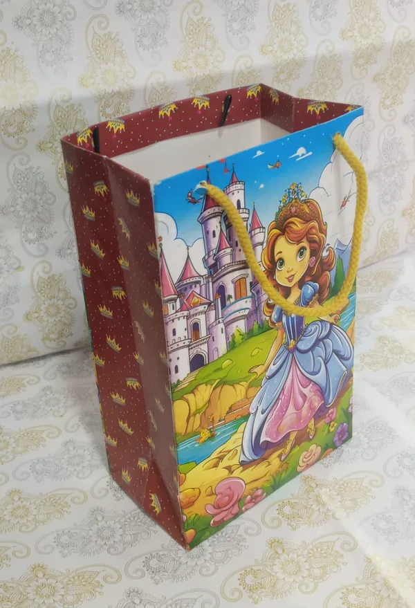 Multicolour_Art_Card_Paper_Bags_For_Marriage_Or_Any_Celebration_-_20_pcs_piece