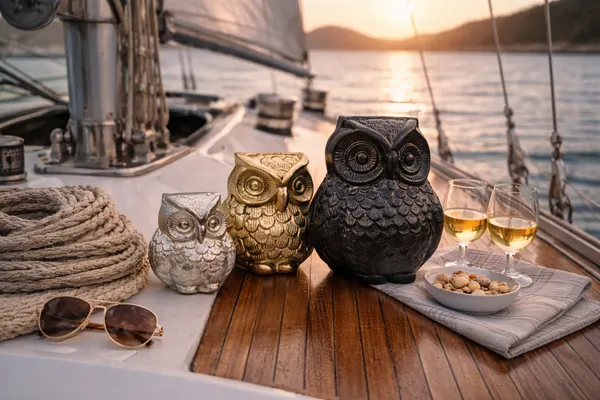 The_Owl_Family_(Fortune_Favor)