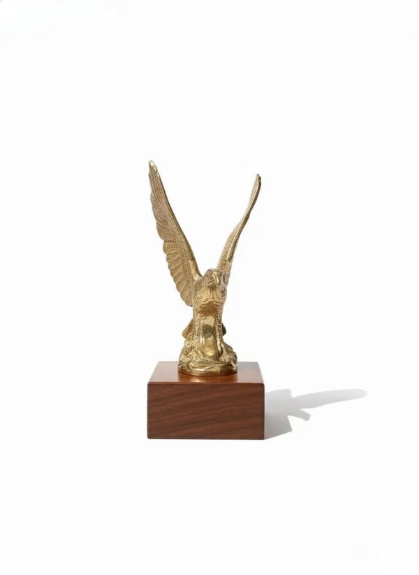 Eagle_Scout