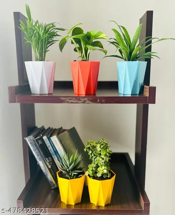 Pack_of_5_Money_Plant,_Jade,_Haworthia,_Zz_Plant_And_Hoya_Heart_Combo_Pack_For_Home_and_Office