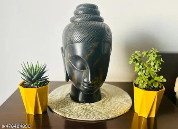 Pack_of_2_Haworthia_And_Jade_Plant_Combo_With_Pot