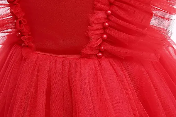 Girls_Tulle_Wings_Knee_Length_Dress