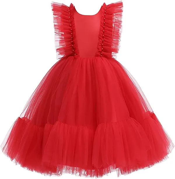 Girls_Tulle_Wings_Knee_Length_Dress