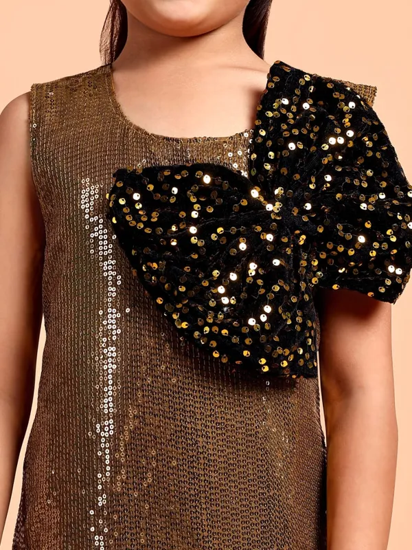 Golden_Girls_a_line_Net_Drop-Waist_Dress