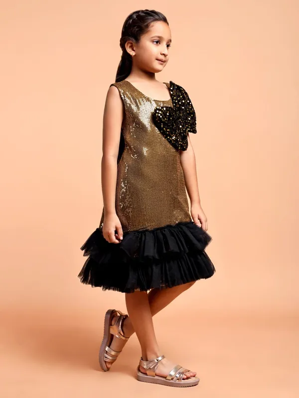 Golden_Girls_a_line_Net_Drop-Waist_Dress