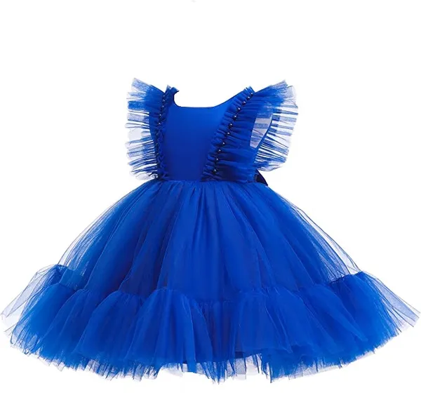 TILISM_Girls_Tulle_Wings_Knee_Length_Dress
