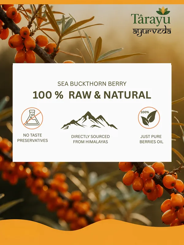 Sea_Buckthorn_Extract_Capsules_