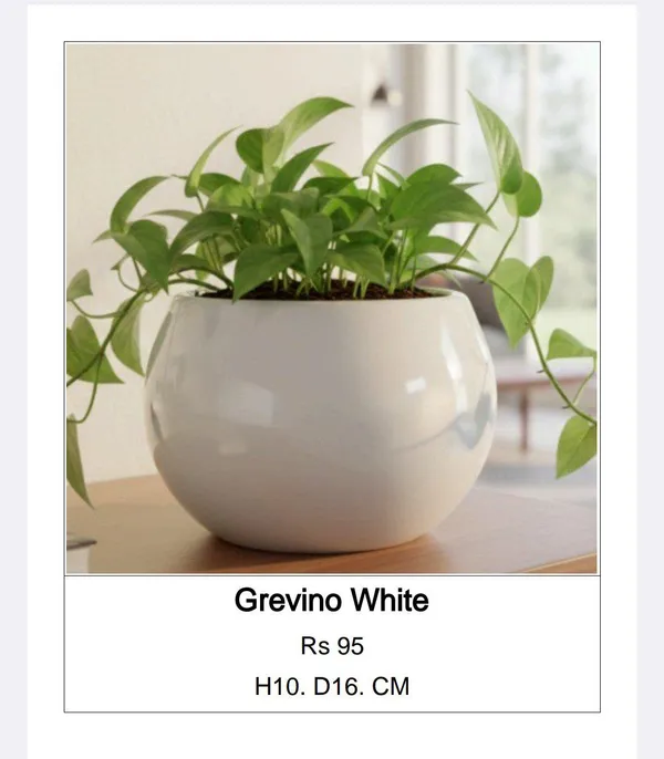 White_Ceramic_Minimalist_Glossy_Round_Planter