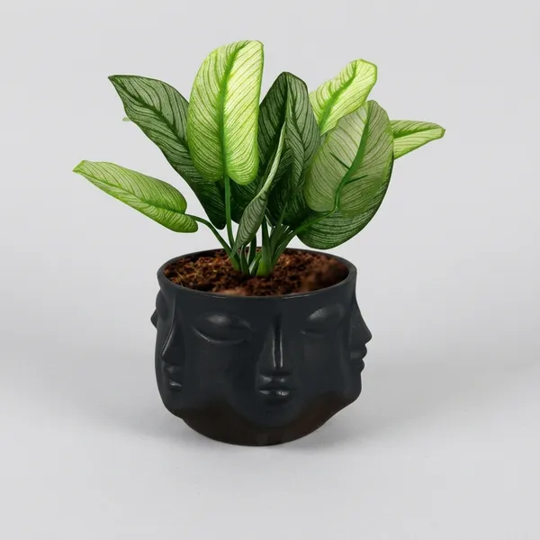 Black_Ceramic_Modern_Human_Face_Planter