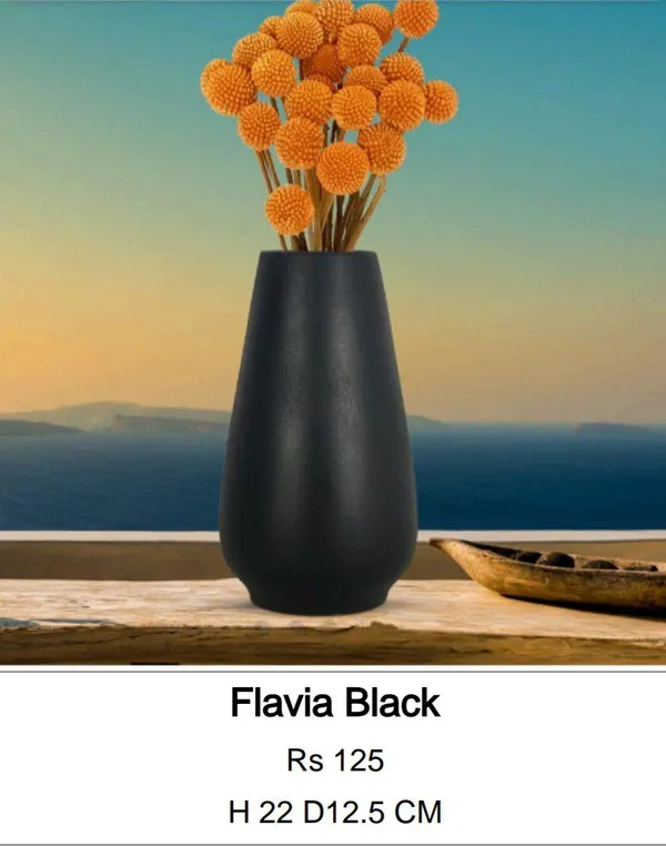 Black_Ceramic_Modern_Matte_Decorative_Vase
