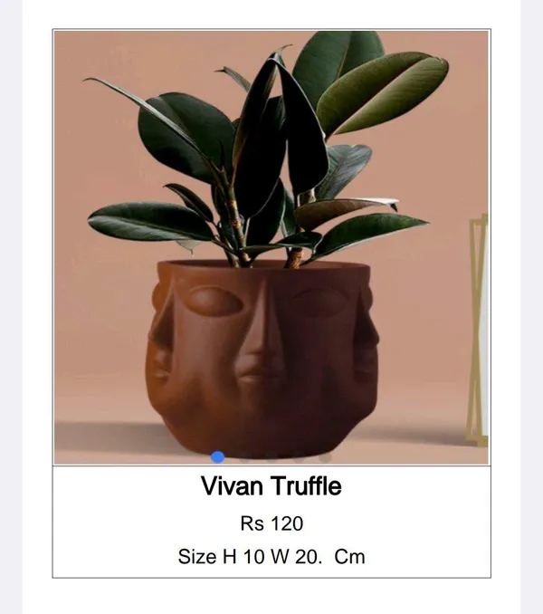 Brown_Ceramic_Bohemian_Dual_Face_Truffle_Planter