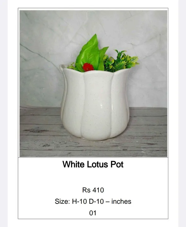 White_Ceramic_Elegant_Lotus_Scalloped_Planter