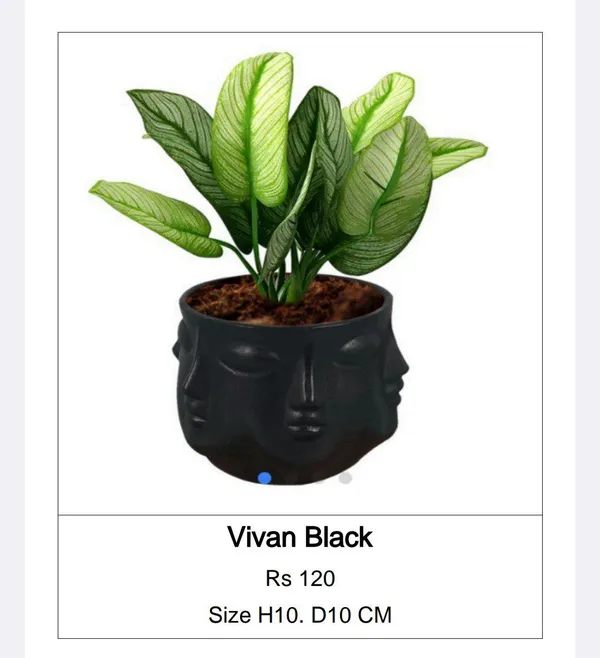 Black_Ceramic_Modern_Human_Face_Planter