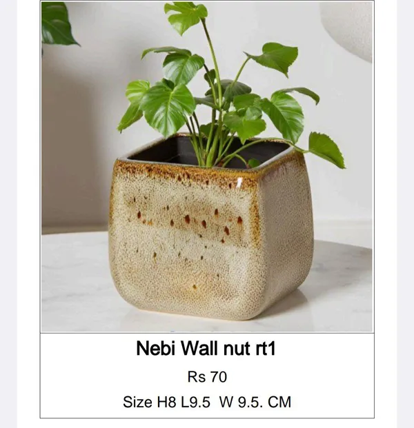 Brown_Ceramic_Rustic_Speckled_Glaze_Square_Planter