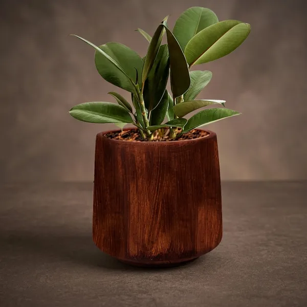 Brown_Wood_Rustic_Antique_Grain_Planter