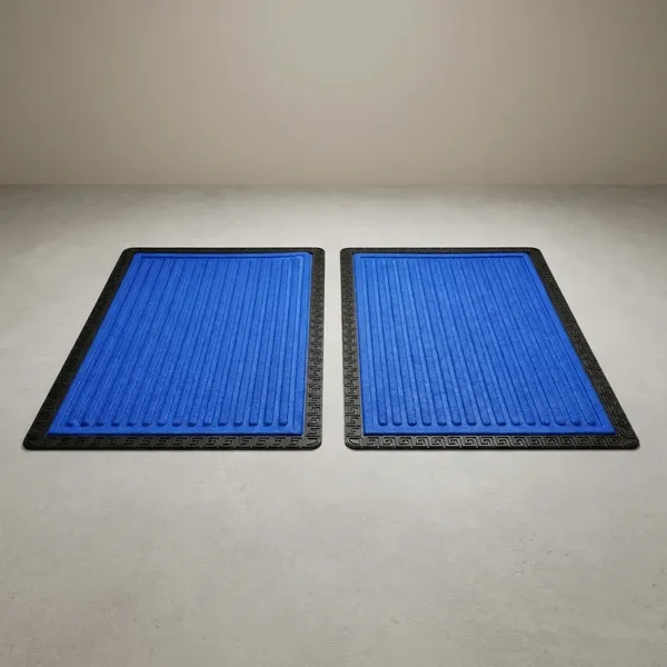 Pack_Of_2_Blue_Rubber_Coir_Moulded_Entryway_Rug_Indoor_Covered_Door_Entrance_Mat