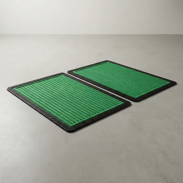 Pack_Of_2_Green_Rubber_Coir_Moulded_Entryway_Rug_Indoor_Covered_Door_Entrance_Mat