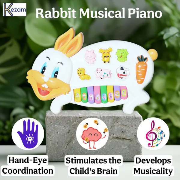 Multicolor_Premium_Plastic_Animal_Musical_Piano_For_Kids