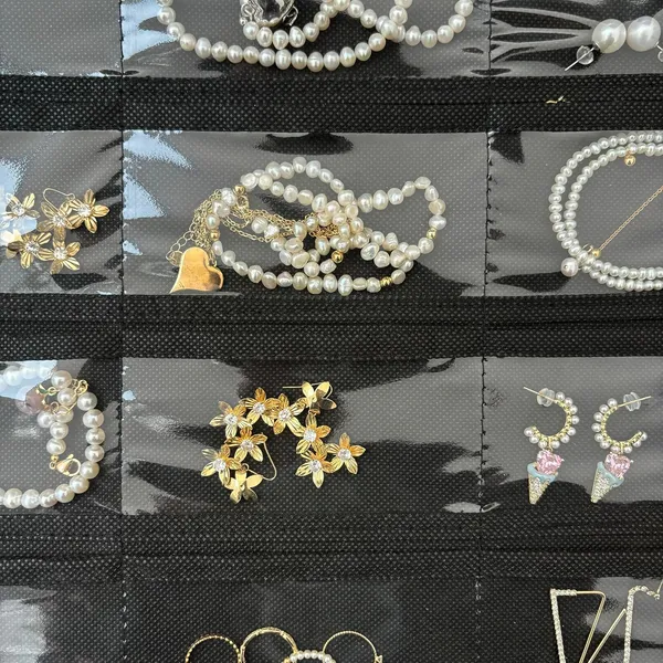 Hanging_Jewelry_Organizer_48_Double-Sided_Pockets_for_Earrings,_Necklaces,_Rings_&_Accessories_|_Space-Saving_Closet_Jewelry_Storage_(Black)