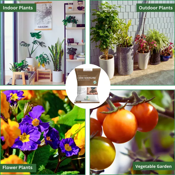 Enriched_Organic_Cow_Plants_Soil_Manure_For_Home_And_Garden