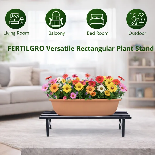 Pack_Of__2_Black_Metal_Premium_Stand_Plant_Container_Set_For_Home_And_Garden_