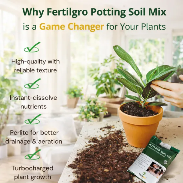 Pack_Of__2_Organic_potting_plants_Soil_Manure_For_Home_And_Garden_