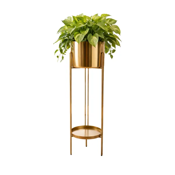 Modern_Metal_Planter_with_Pot_–_Brass_Finish_Decorative_Plant_Stand_for_Living_Room_&_Balcony_Decor_for_Home__Living_Room,_Balcony,_Bedroom_and_Office_(Pack_of_1)