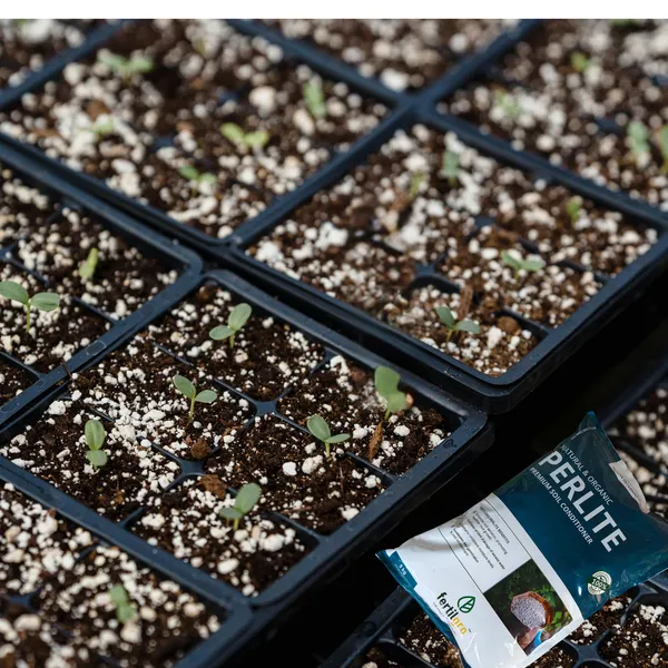 Perlite_Fertilizer_Overall_Growth_plants_Soil_Manure_For_Home_And_Garden
