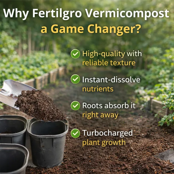 Pack_Of__2_Organic_vermicompost_Fertilizer_Soil_Manure_For_Home_And_Garden_