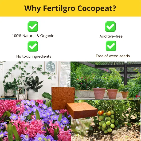 Pack_Of__2_Organic_Coconut_Block_Natural_soil_conditioner_of_Soil_Manure_For_Home_And_Garden_