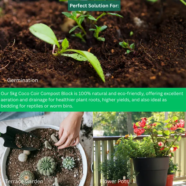 Pack_Of__2_Organic_Coconut_Block_Natural_soil_conditioner_of_Soil_Manure_For_Home_And_Garden_