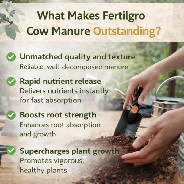 Pack_Of__2_Enriched_Organic_Cow_Plants_Soil_Manure_For_Home_And_Garden_