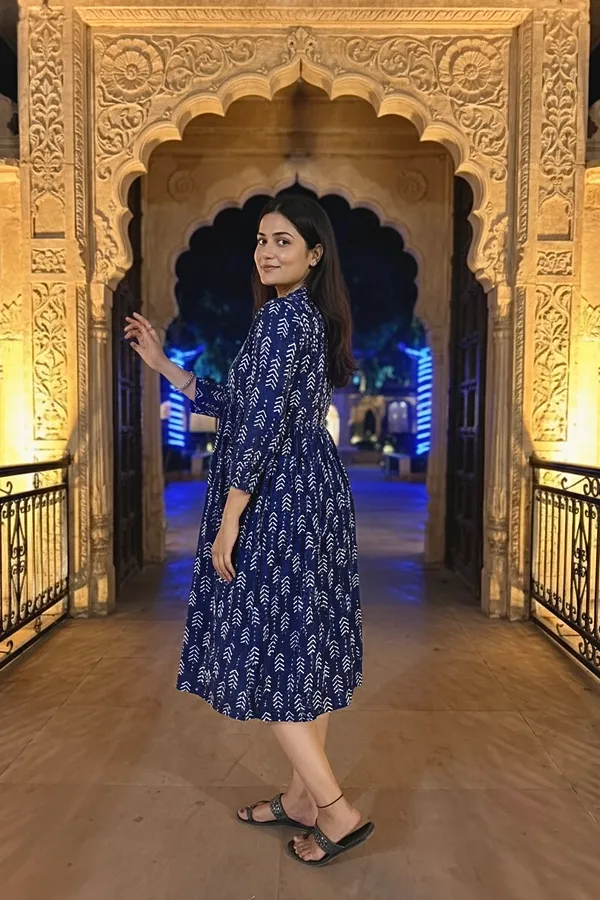 Indigo_Arrow_Printed_Cotton_One_Piece_Dress_For_Women