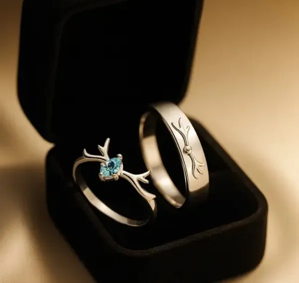 Pack_Of_2_Silver_And_Blue_Alloy_Ring_Set_For_Women_