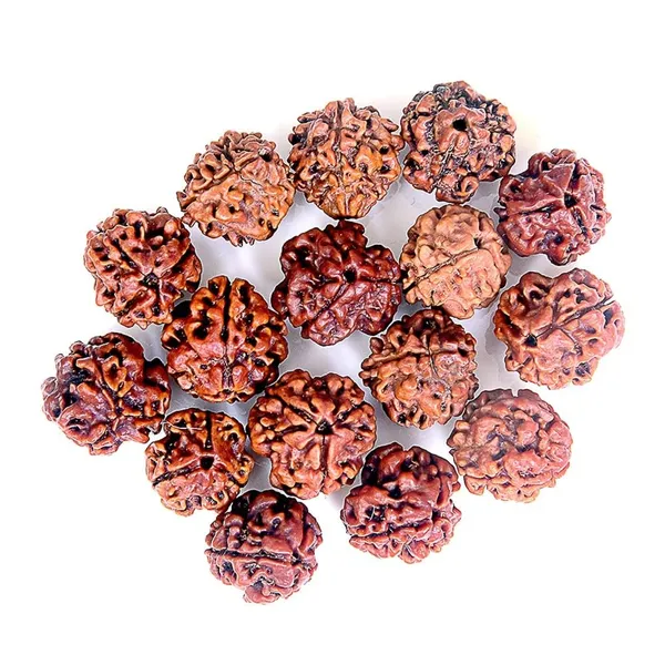 3_Mukhi_Original_Rudraksha_Bead_Natural_&_Energized_Rudraksha_For_Men_&_Women