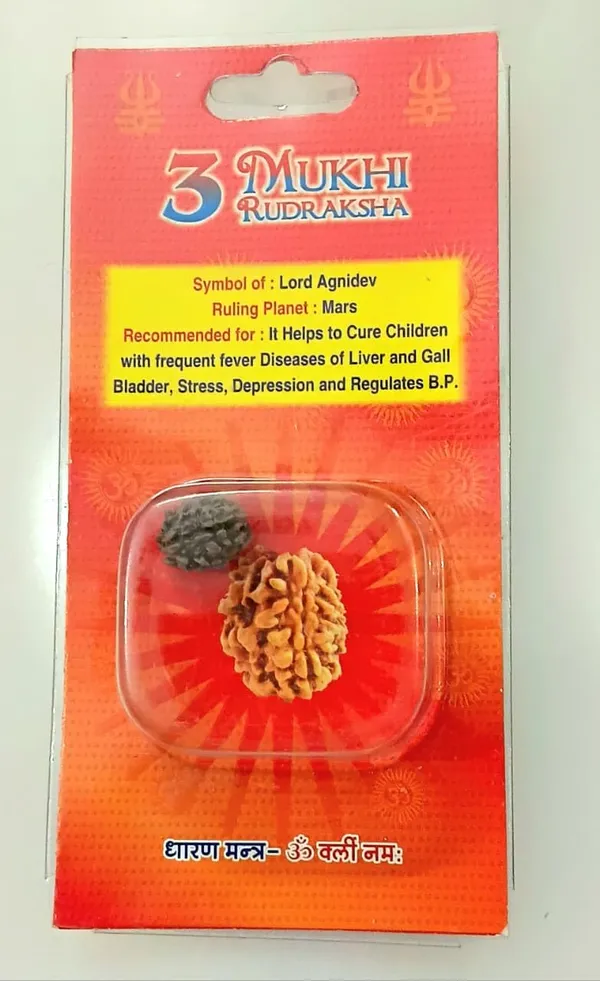 4_Mukhi_Original_Rudraksha_Bead_Natural_&_Energized_Rudraksha_For_Men_&_Women
