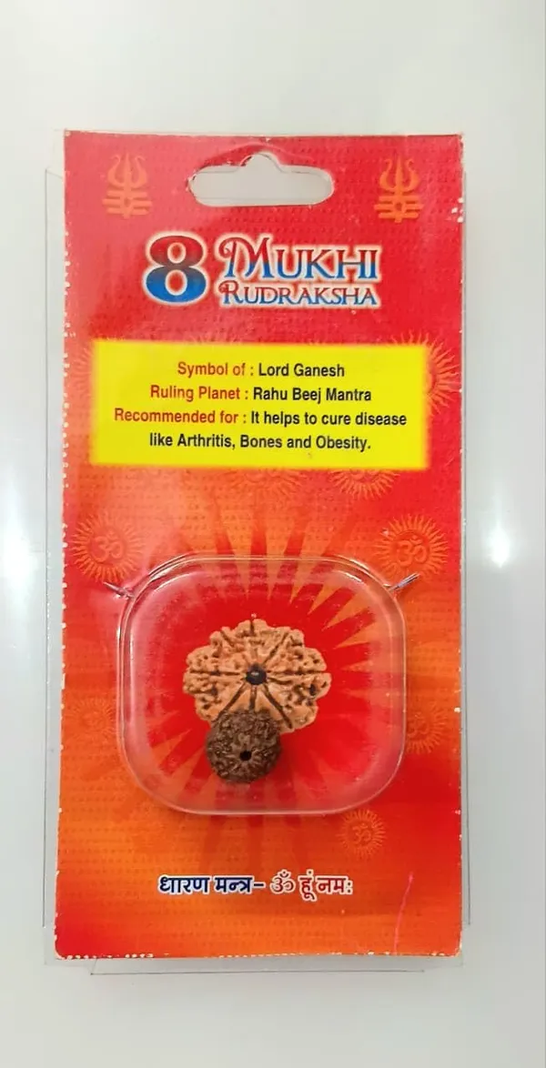 8_Mukhi_Original_Rudraksha_Bead_Natural_&_Energized_Rudraksha_For_Men_&_Women