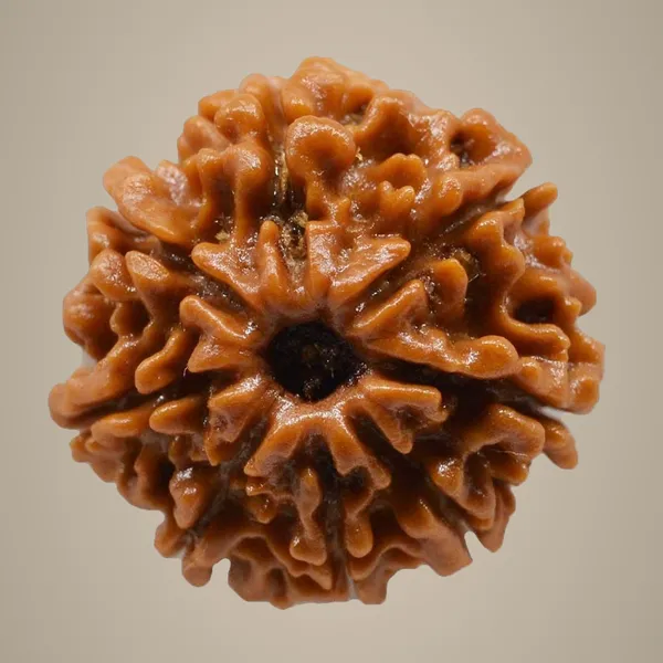 8_Mukhi_Original_Rudraksha_Bead_Natural_&_Energized_Rudraksha_For_Men_&_Women