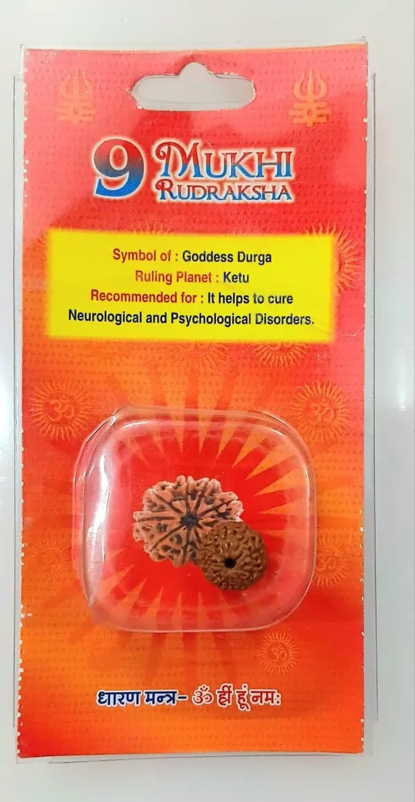 9_Mukhi_Original_Rudraksha_Bead_Natural_&_Energized_Rudraksha_For_Men_&_Women