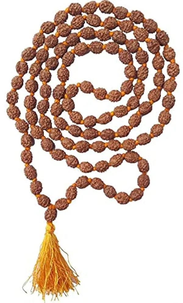 2_Mukhi_Rudraksha_Mala_108_Beads_Original_With_Certificate