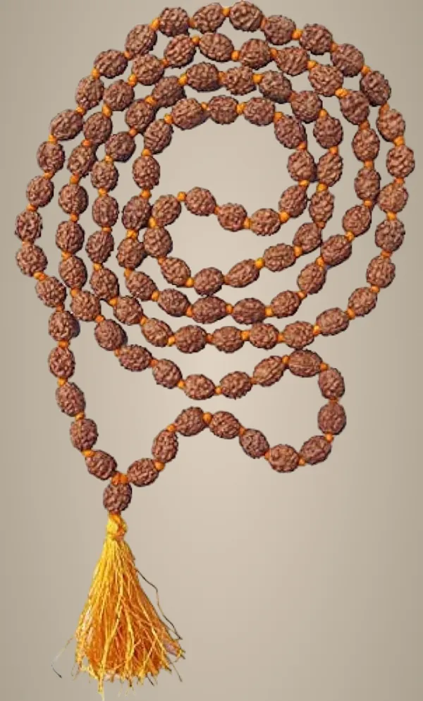 2_Mukhi_Rudraksha_Mala_108_Beads_Original_With_Certificate