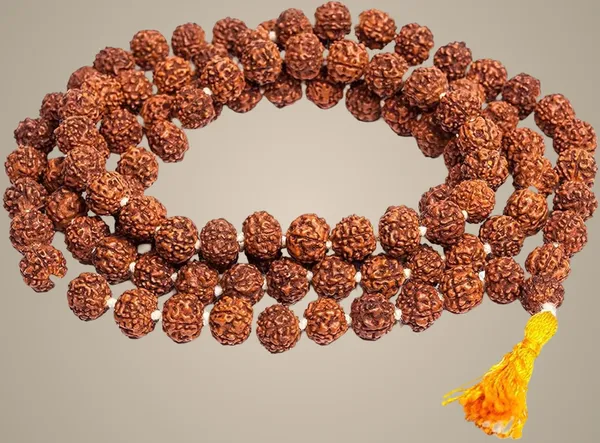 5_Mukhi_Rudraksha_Mala_108_Beads_Original_With_Lab_Test_Certificate