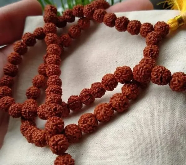 7_Mukhi_Rudraksha_Mala_108_Beads_Original_Certified_Lab_Tested