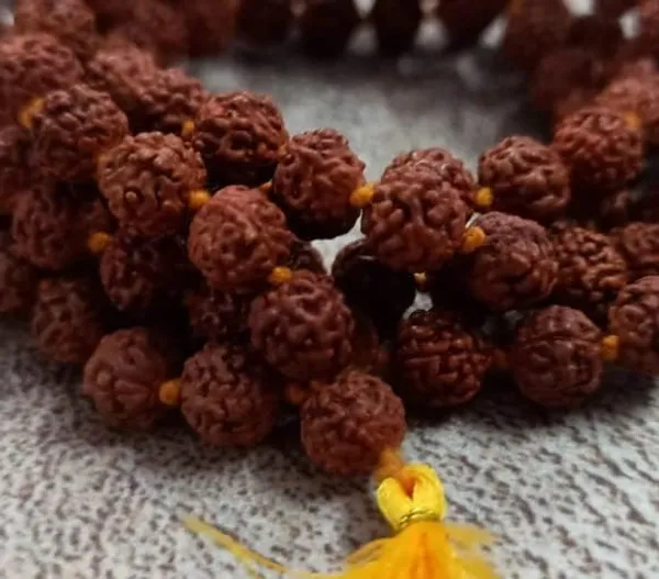 7_Mukhi_Rudraksha_Mala_108_Beads_Original_Certified_Lab_Tested