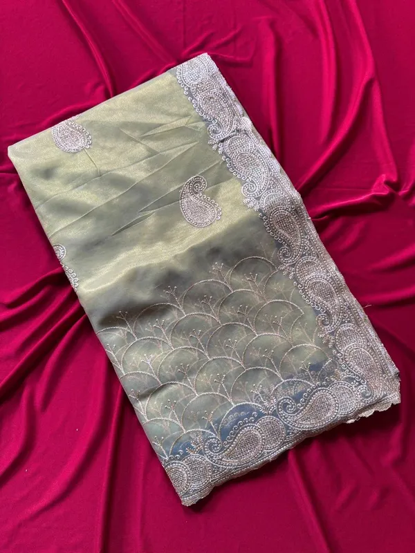 Botan_Finti_Heavy_Silver_Embroidery_Work_Saree_with_Full_Silver_Stone_Work__For_Women