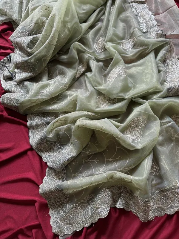 Botan_Finti_Heavy_Silver_Embroidery_Work_Saree_with_Full_Silver_Stone_Work__For_Women
