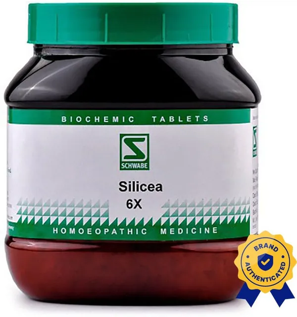 Dr.Willmar_Schwabe_India_Silicea_6X_Tablets_(550_G)